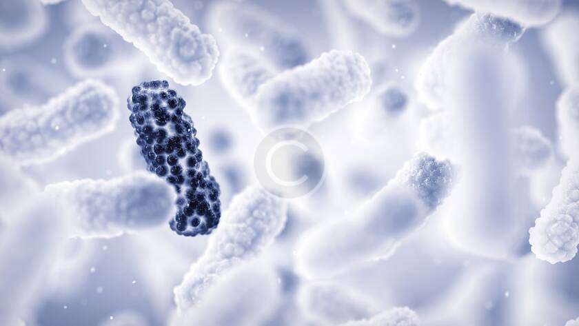 Emerging trends in targeted drug discovery