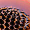 From concept to cure: drug discovery steps